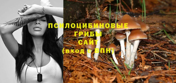 a pvp Абинск
