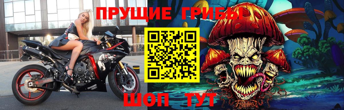 Галлюциногенные грибы мухоморы Тобольск