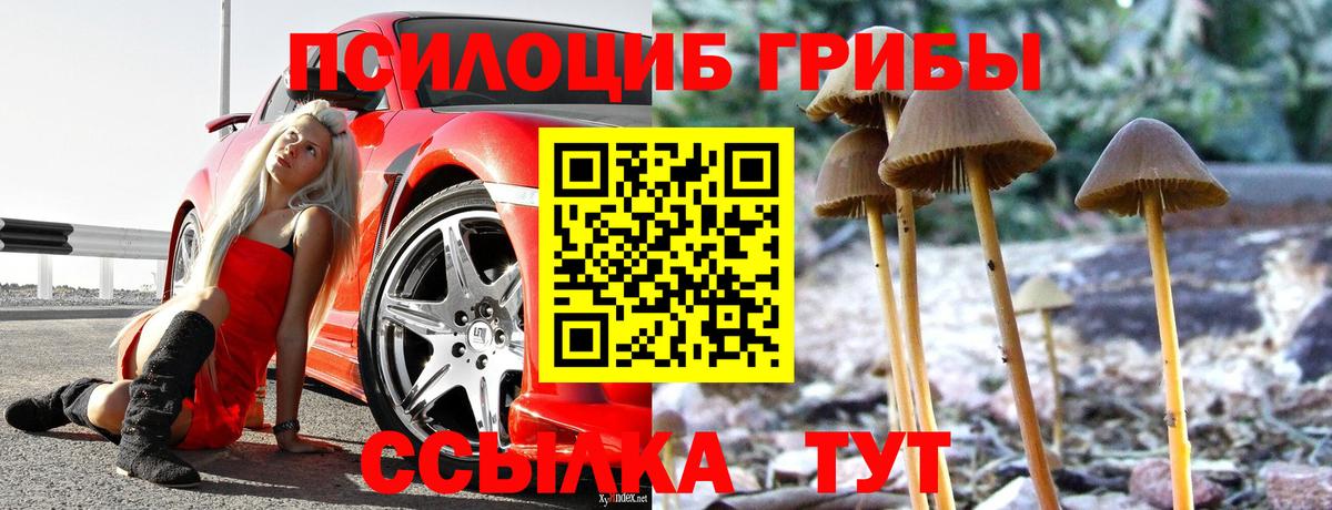 Псилоцибиновые грибы мухоморы  Вход с VPN  Тобольск  Псилоцибиновые грибы прущие грибы 